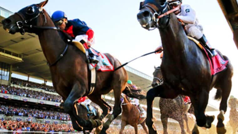 Virtual Horse Racing Game Event | Rental