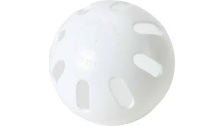 White Official Size Whiffle Baseball Rental | Rental White Official Size Whiffle Baseball Rental | Rental
