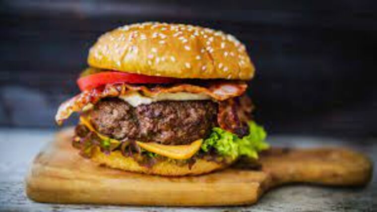 Hamburger | Purchase | Rental