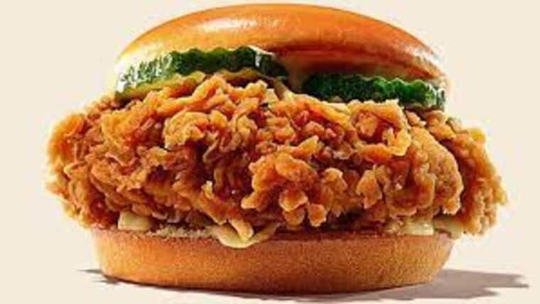 Breaded Chicken Sandwich | Purchase | Rental