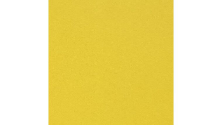 Vinyl Pro Floor – Lemon | Rental Vinyl Pro Floor – Lemon | Rental