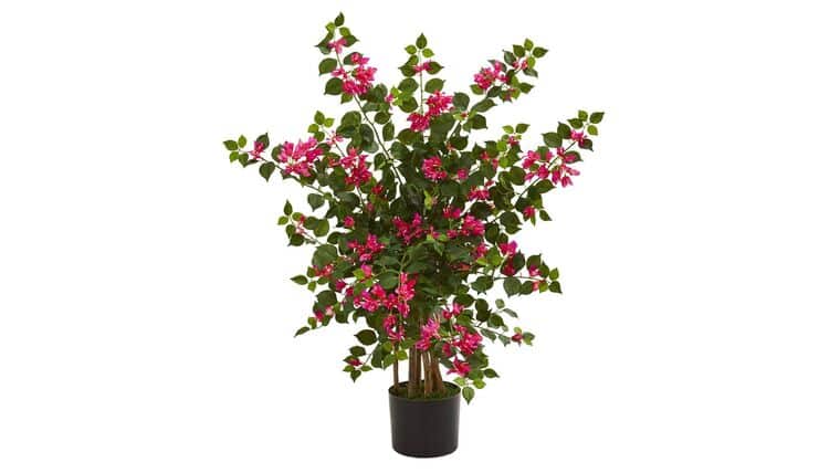 Bougainvillea Artificial Tree | Rental Bougainvillea Artificial Tree | Rental
