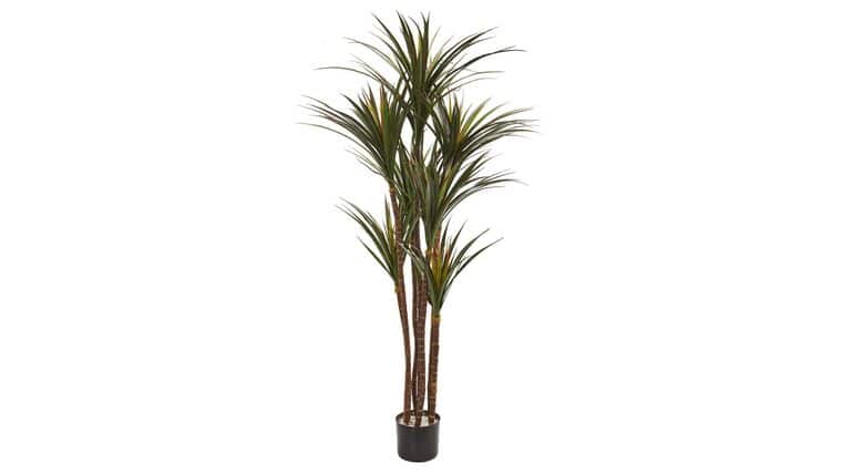 5.5’ Giant Yucca Artificial Tree UV Resistant | Rental 5.5’ Giant Yucca Artificial Tree UV Resistant | Rental