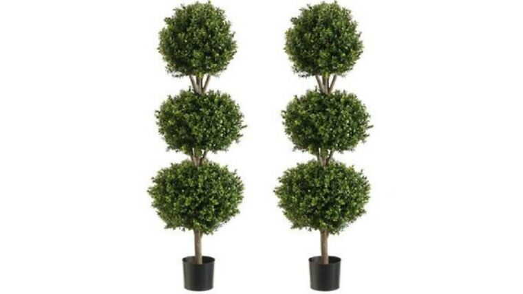 6’3″ Topiary Ivy 3 Ball w/Light | Rental