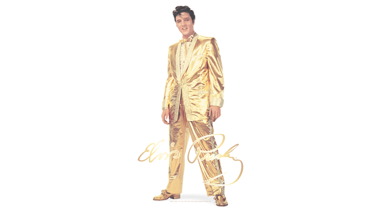 Elvis Costume (Standard) | Rental