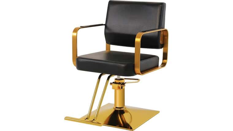 Hydraulic Pump Hair Salon Chair 360 Degree Rotating Barber Chair, Spa Beauty Equipment for Hair Stylists, Tattoo Artists, Cosmetologists (Not Tilting) | Rental