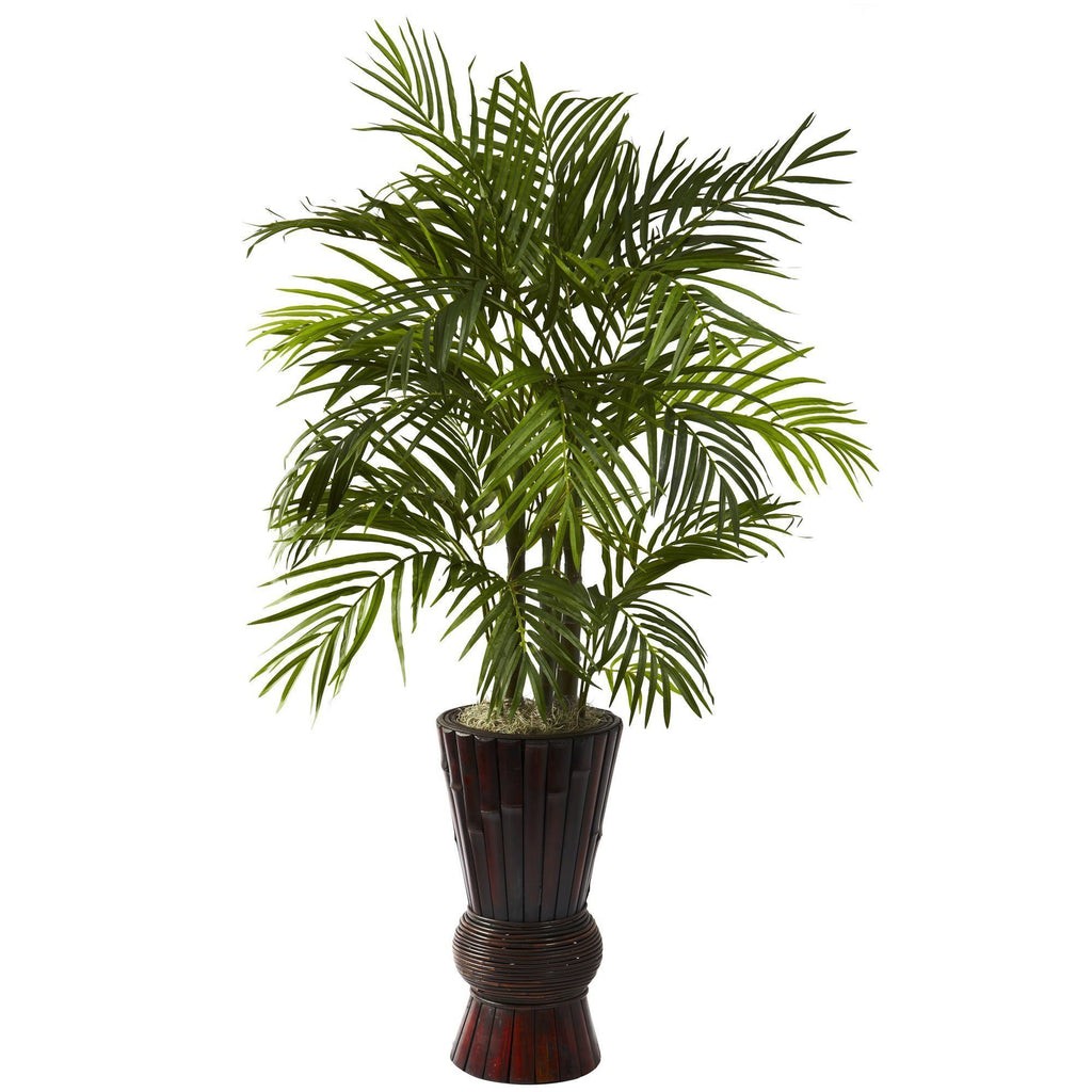 4’ Areca w/Bamboo Planter | Rental