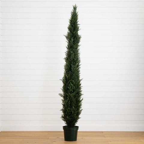 8′ Mini Cedar Pine Tree w/4249 tips in 12” Pot (Two Tone Green) | Rental