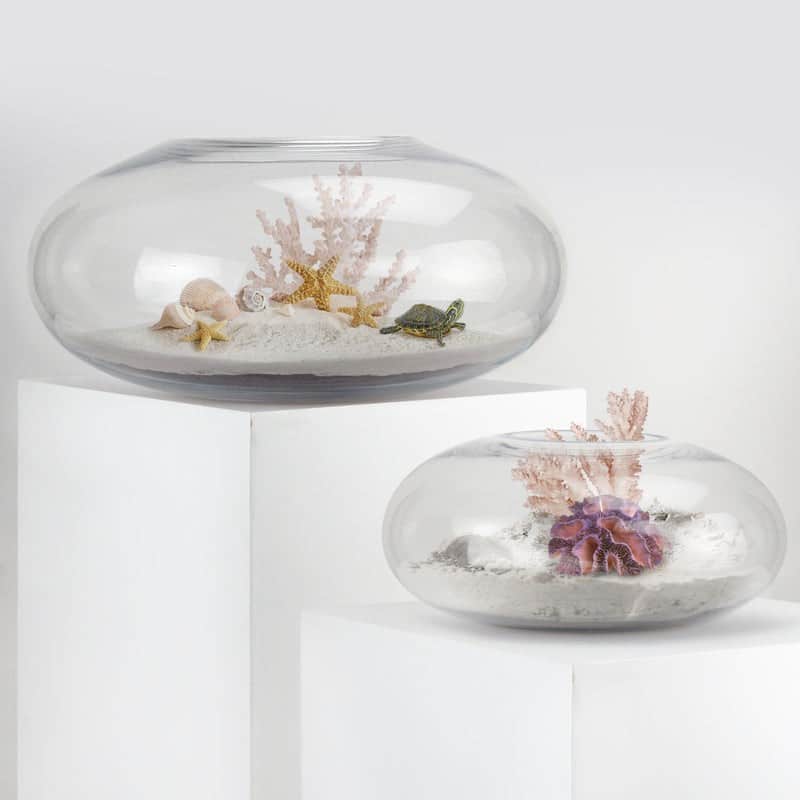 Colure Vase | Rental