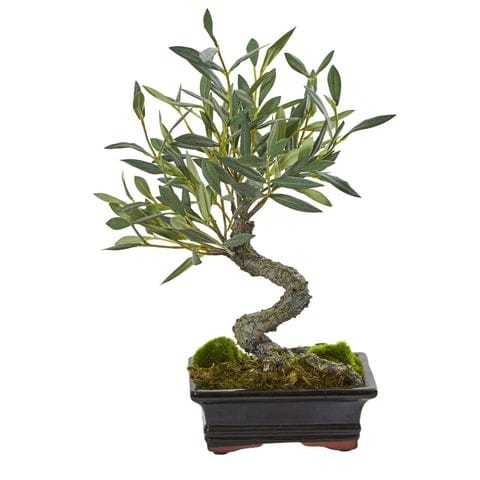 Mini Olive Artificial Bonsai Tree | Rental