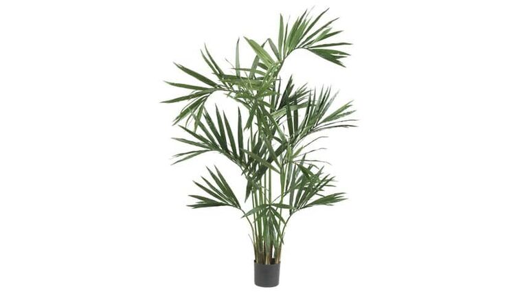 4′ Faux Kentia Palm Silk Tree | Rental 4′ Faux Kentia Palm Silk Tree | Rental