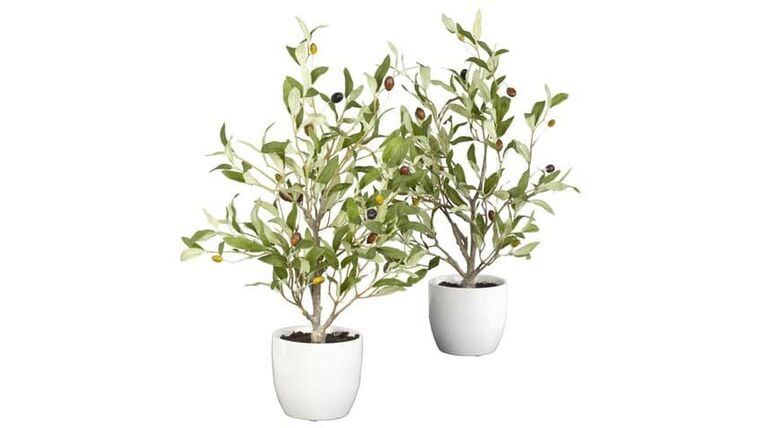 18″ Olive Silk Tree w/Vase (Set of 2)” | Rental 18″ Olive Silk Tree w/Vase (Set of 2)” | Rental