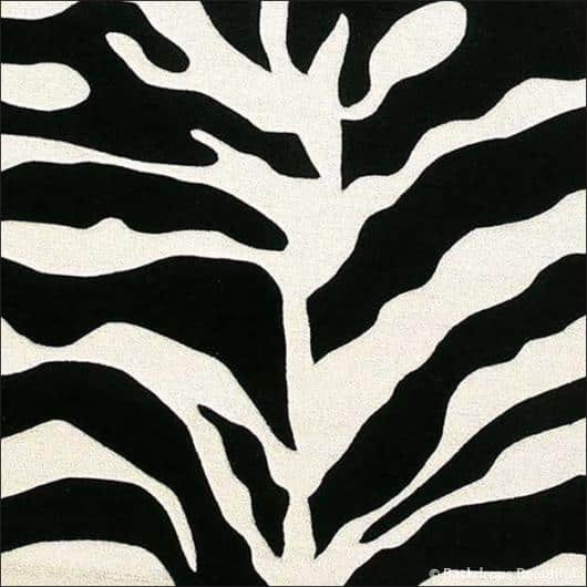 Skin Zebra 3 | Rental
