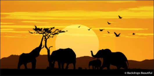 African Elephant Sunset 2 | Rental