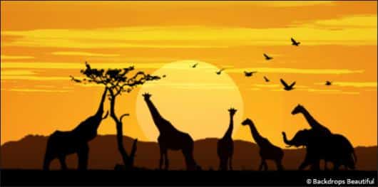 African Animal Sunset 2 | Rental