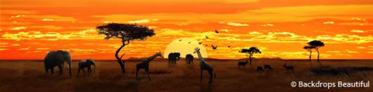 African Savannah 3 | Rental