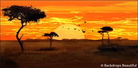 African Savannah 5 | Rental