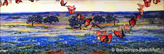 Butterflies in flight | Rental