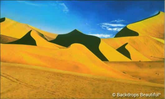 Desert Dunes 3 | Rental