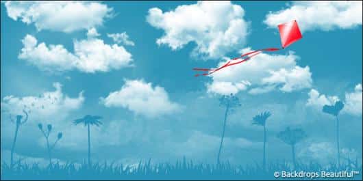 Clouds 7 Kite | Rental