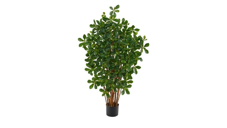 3.5’ Black Olive Artificial Tree | Rental 3.5’ Black Olive Artificial Tree | Rental
