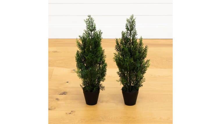 2’ Mini Cedar Pine Tree UV Resistant (Indoor/Outdoor) – Set of 2 | Rental