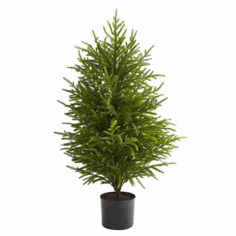 40” Norfolk Island Pine “Natural Look” Artificial Christmas Tree | Rental