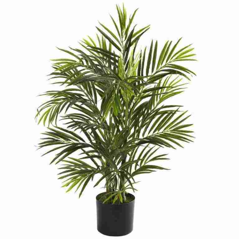 2.5′ Areca Palm Tree UV Resistant (Indoor/Outdoor) | Rental 2.5′ Areca Palm Tree UV Resistant (Indoor/Outdoor) | Rental