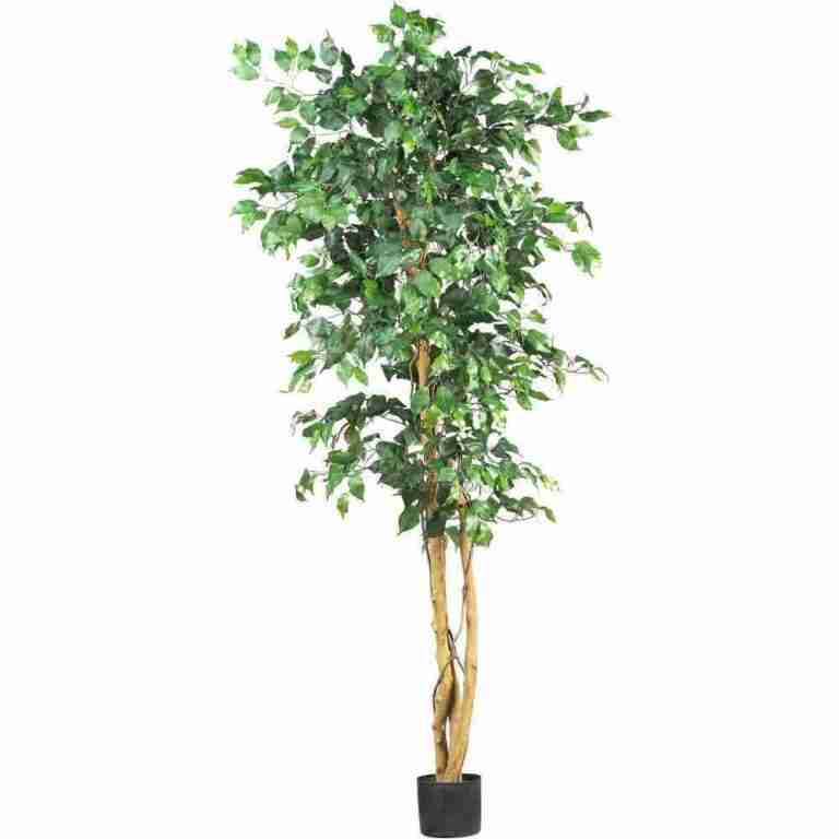 7′ Ficus Tree – Artificial Rental | Rental 7′ Ficus Tree – Artificial Rental | Rental